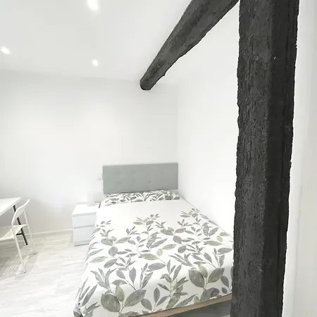 Luminoso En Pleno Centro De Apartman