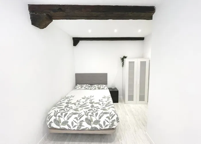 Luminoso En Pleno Centro De Lejlighed Santander