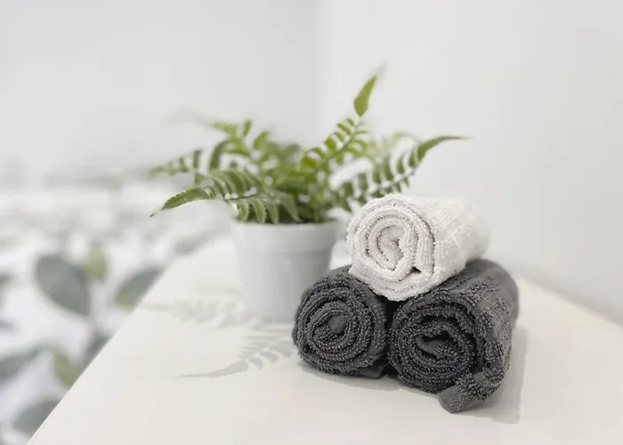 Luminoso En Pleno Centro De Santander